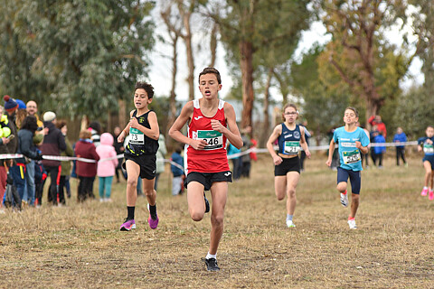 SUB-12