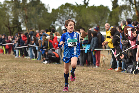 SUB-10